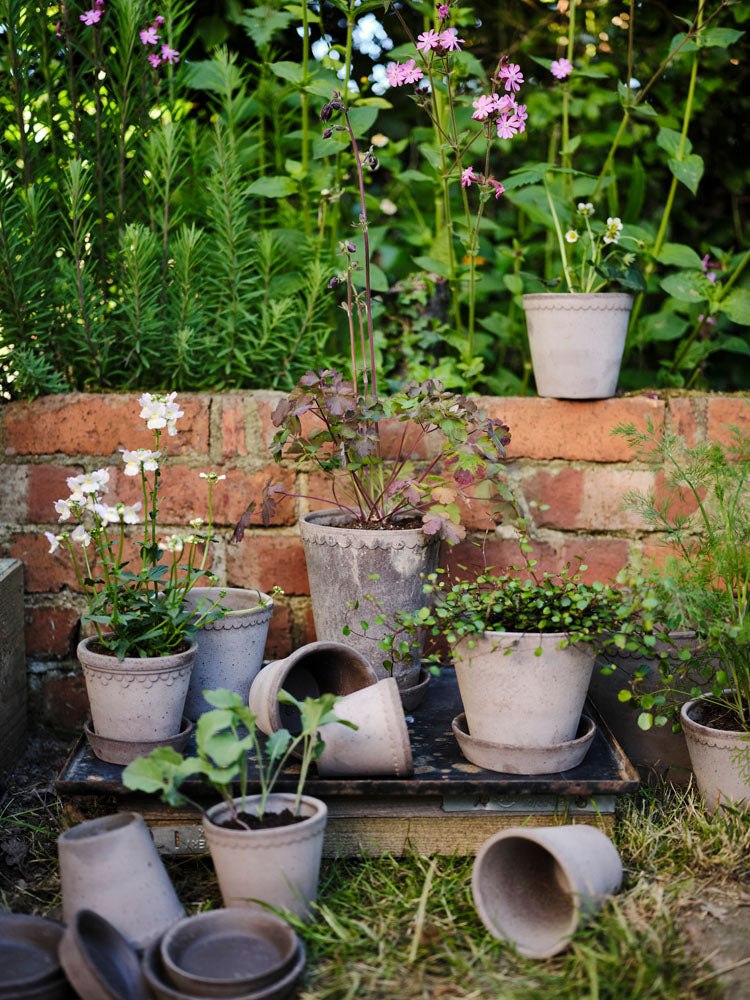 Helena Raw Grey Terracotta Pot