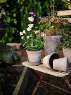 Helena Raw Grey Terracotta Pot