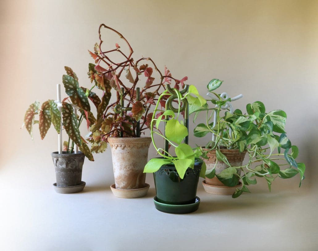 Glazed Plant Stake