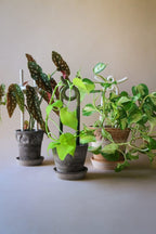 Glazed Plant Stake