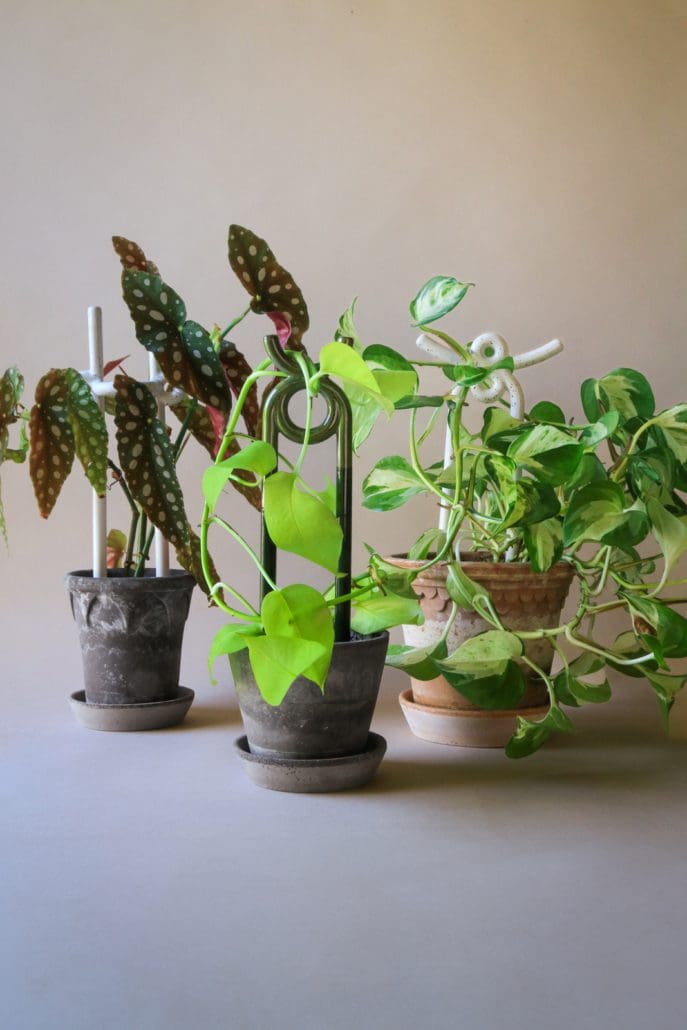 Glazed Plant Stake