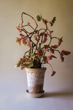 Glazed Plant Stake