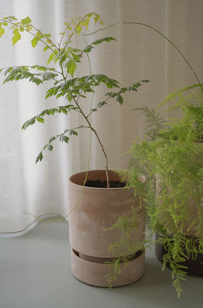 Hoff Raw Rosa Terracotta Pot