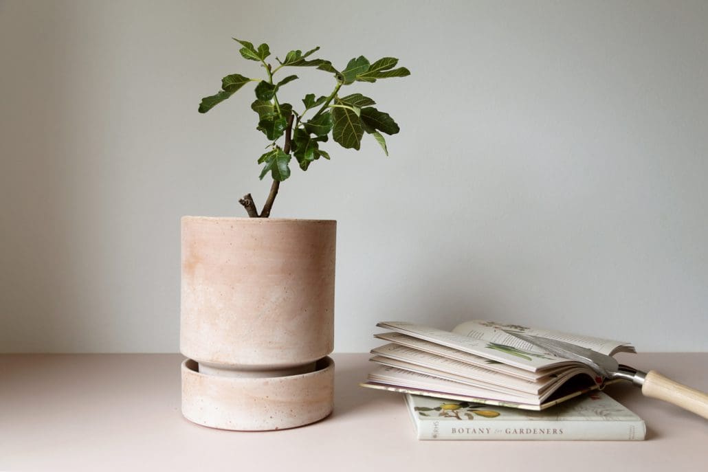 Hoff Raw Rosa Terracotta Pot