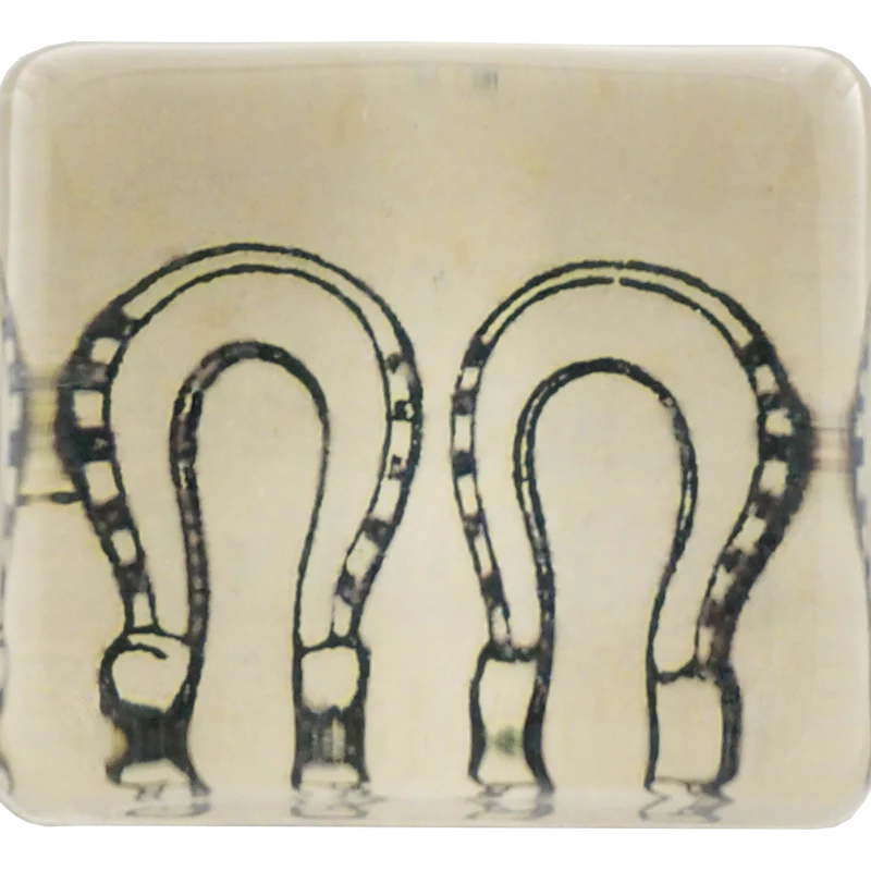 Horseshoe Charm Paperweight