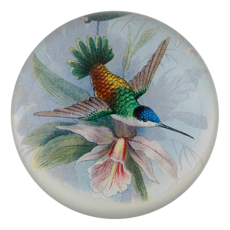 Hummingbird Detail Dome Paperweight