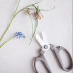 Japanese Floral Clippers