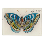 Blue Green Butterfly Fig.3 Tray