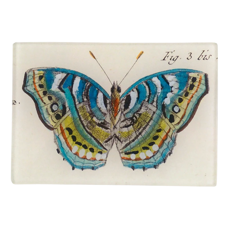 Blue Green Butterfly Fig.3 Tray
