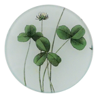 Forage Clover Tray