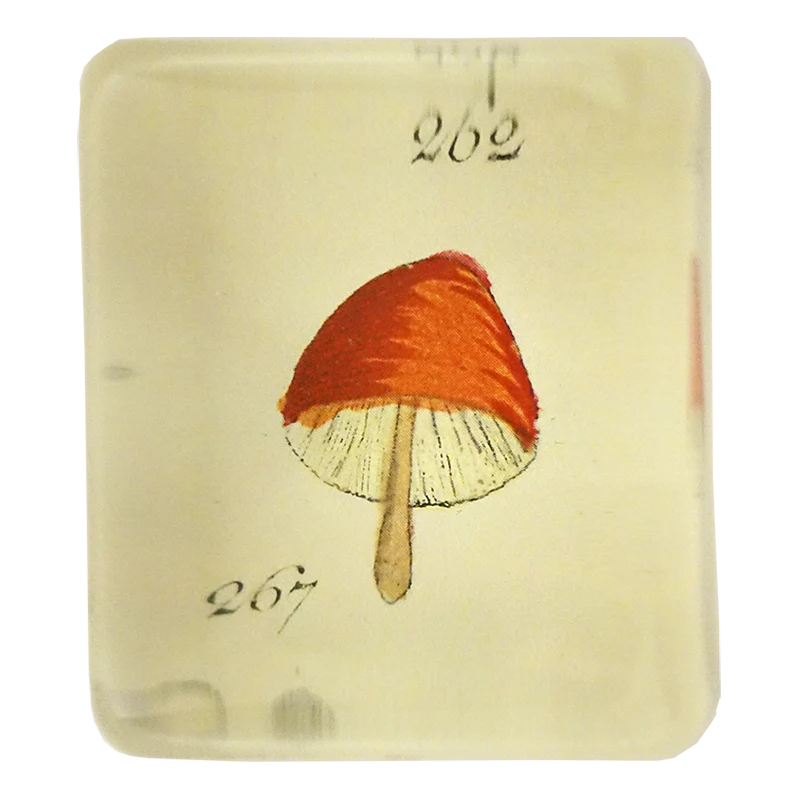 Orange Mushroom Charm Paperweight