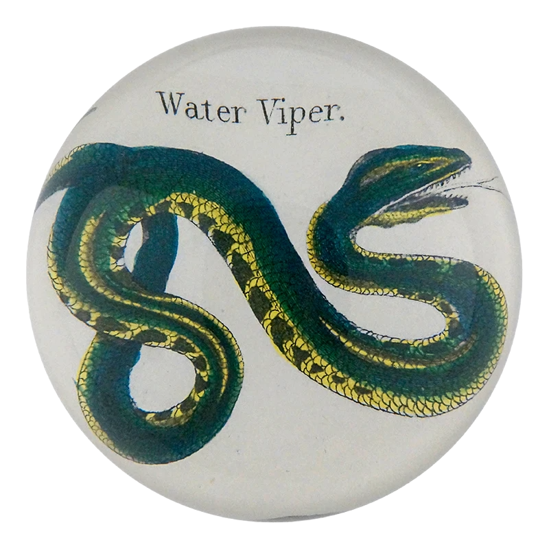 Water Viper Dome Paperweight