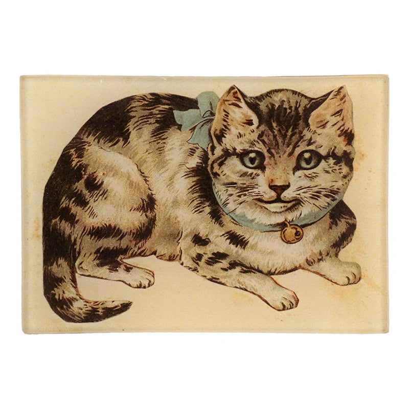 Kitty Tray