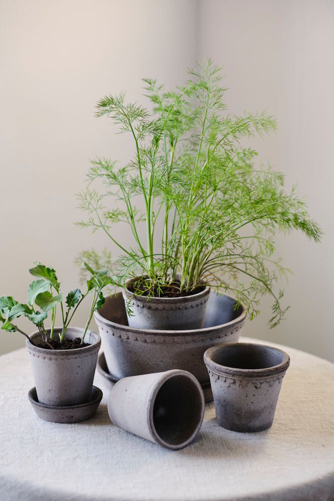 Københavner Raw Grey Terracotta Pot