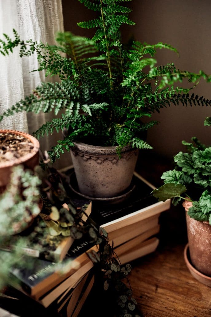Københavner Raw Grey Terracotta Pot