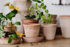 Københavner Raw Rosa Terracotta Pot