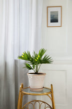 Københavner Raw Rosa Terracotta Pot
