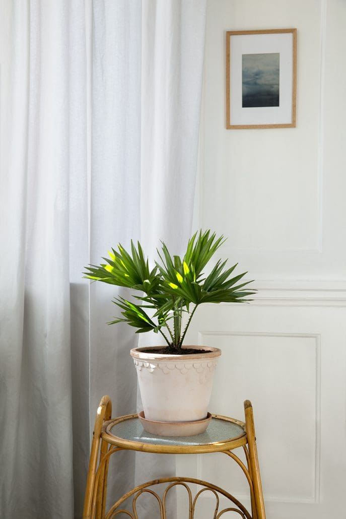 Københavner Raw Rosa Terracotta Pot