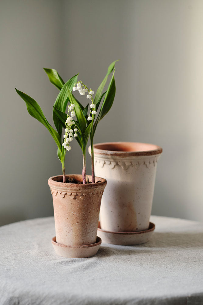 Københavner Raw Rosa Terracotta Pot
