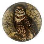 Owl with Leaves Dome Paperweight
