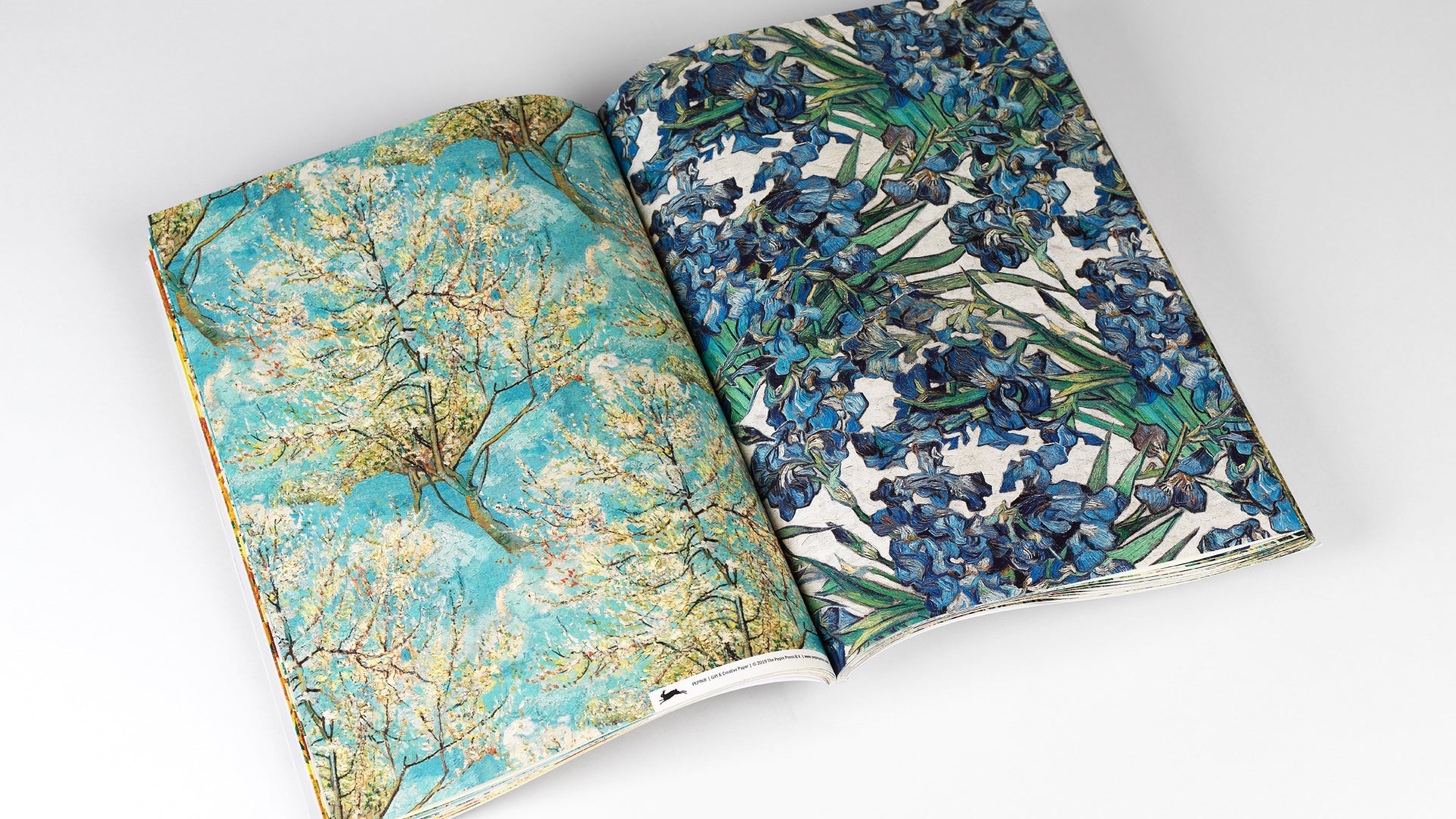 Vincent Van Gogh Gift & Creative Paper Book