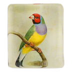 Red-Headed Gouldian Finch Charm Paperweight