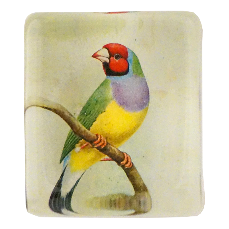 Red-Headed Gouldian Finch Charm Paperweight