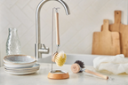 Dish Brush