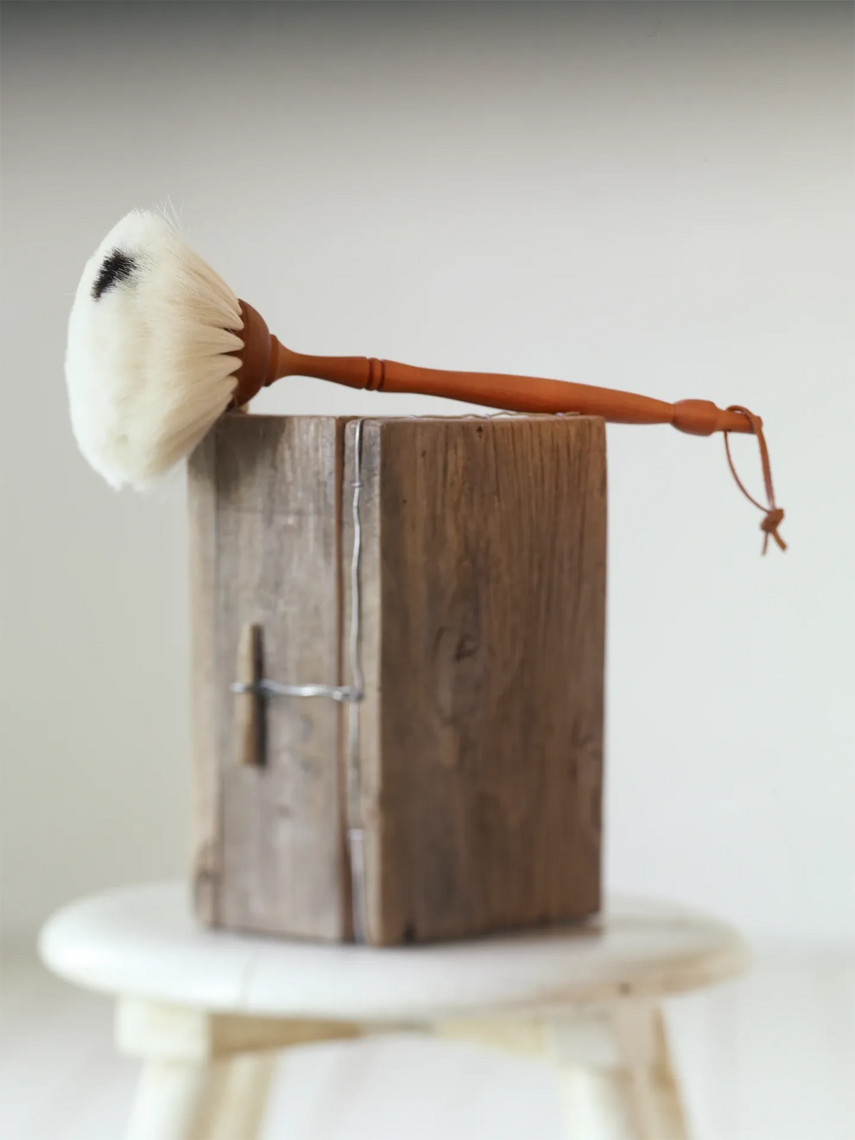 Dust Brush