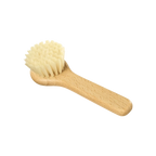 Mushroom Brush with Handle
