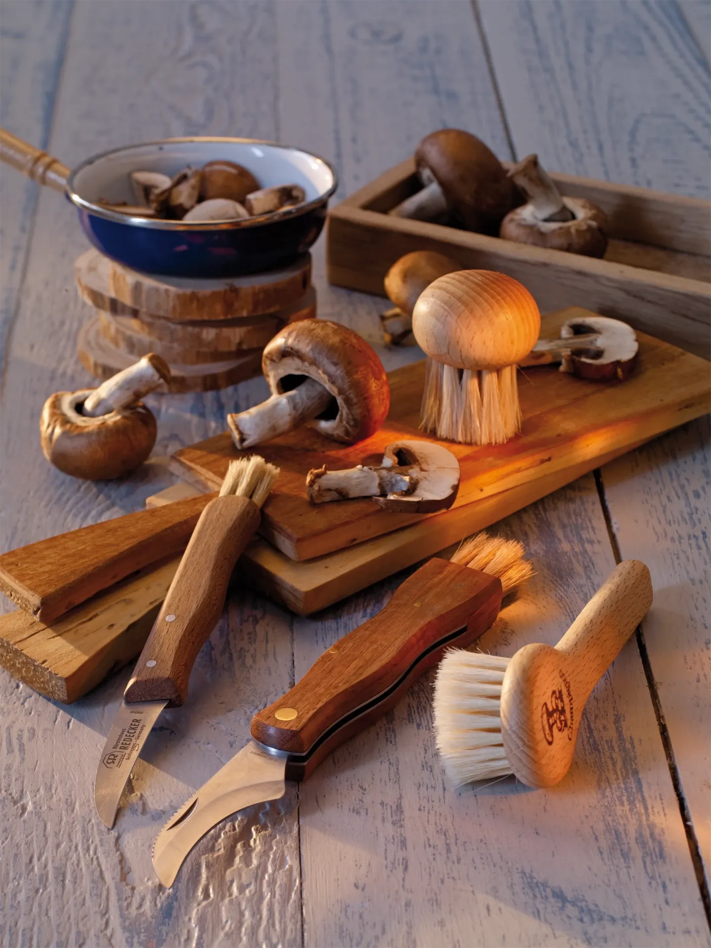Mushroom Brush with Handle