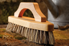 Scrub Brush