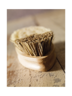 Vegtable Brush