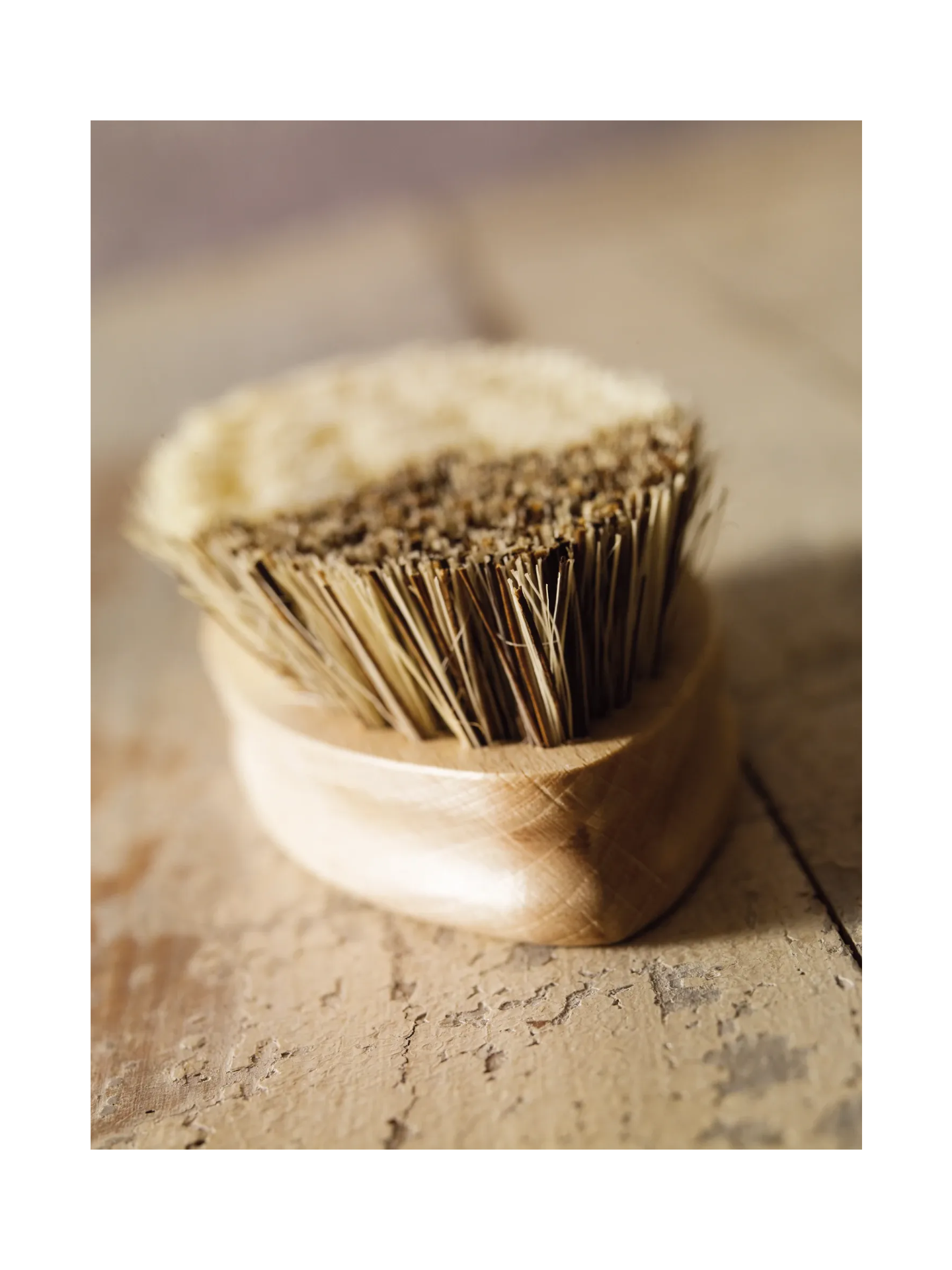 Vegtable Brush