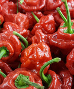 Scotch Bonnet Chilli Jam