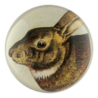 Scrapbook Hare Dome Paperweight