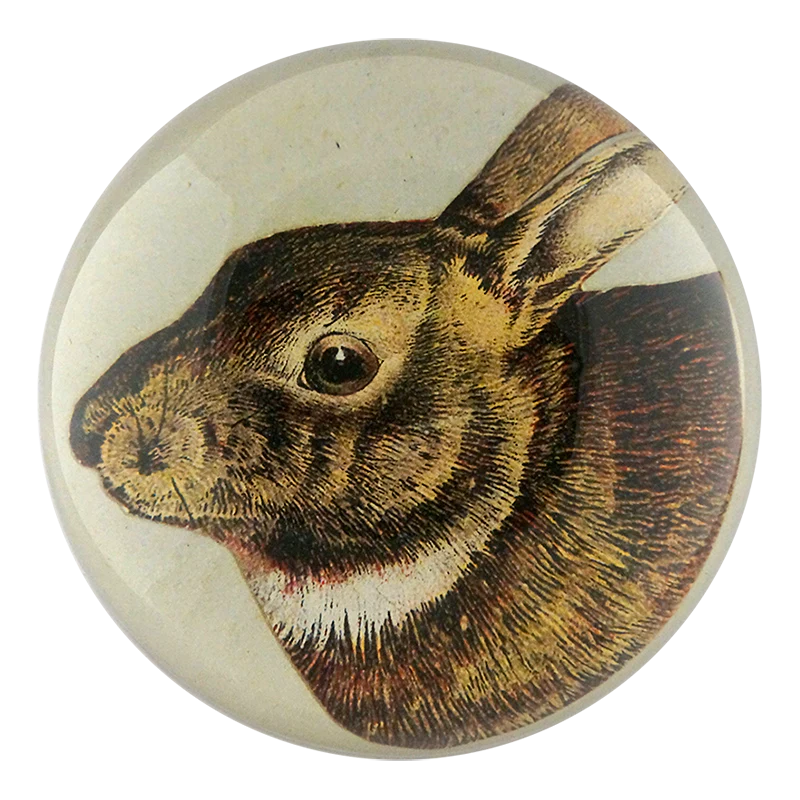 Scrapbook Hare Dome Paperweight