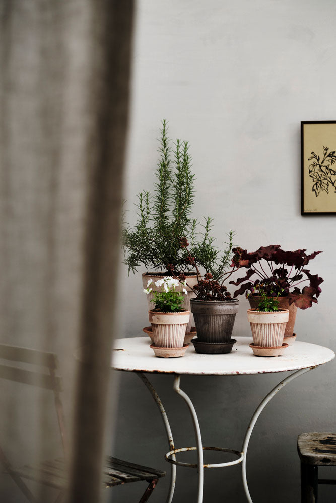 Simona Raw Rossa Terracotta Pot