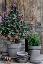 Simona Raw Grey Terracotta Pot