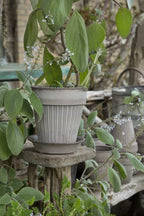 Simona Raw Grey Terracotta Pot