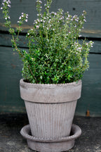Simona Raw Grey Terracotta Pot