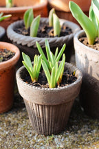 Simona Raw Grey Terracotta Pot