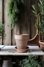Simona Raw Rossa Terracotta Pot