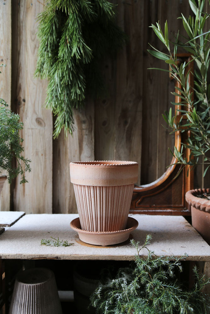 Simona Raw Rossa Terracotta Pot