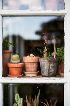 Simona Raw Rossa Terracotta Pot