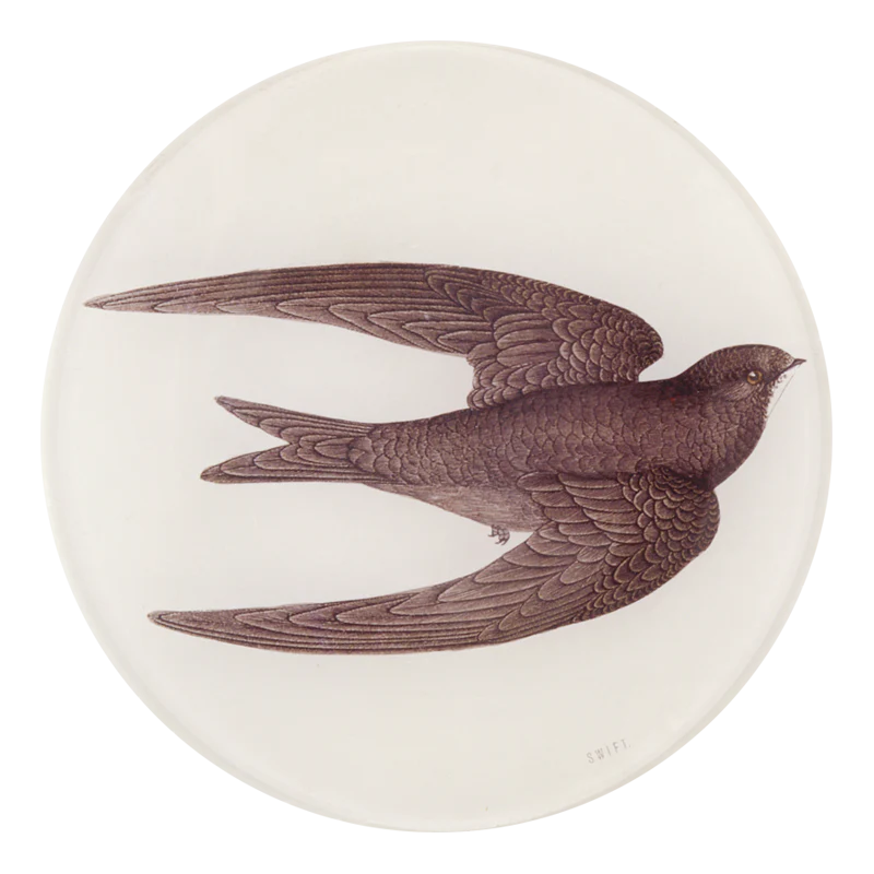 Swift Bird (Swallow) Tray