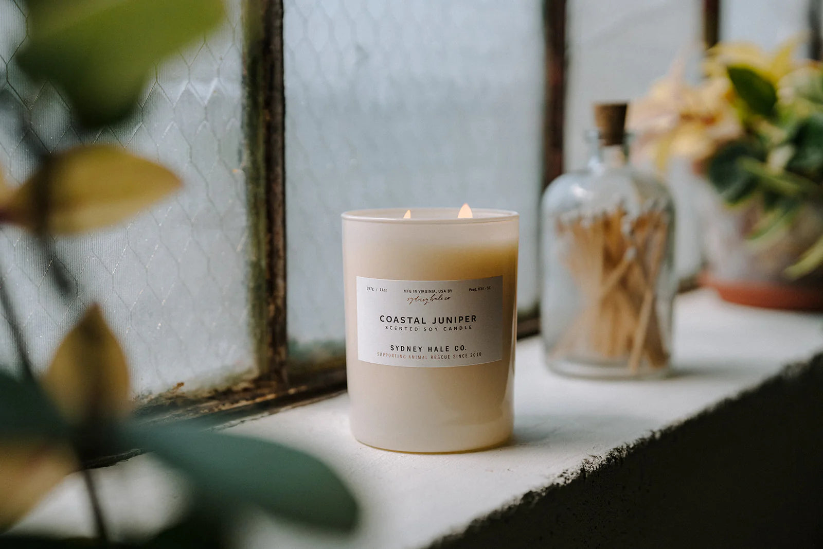 Coastal Juniper Candle