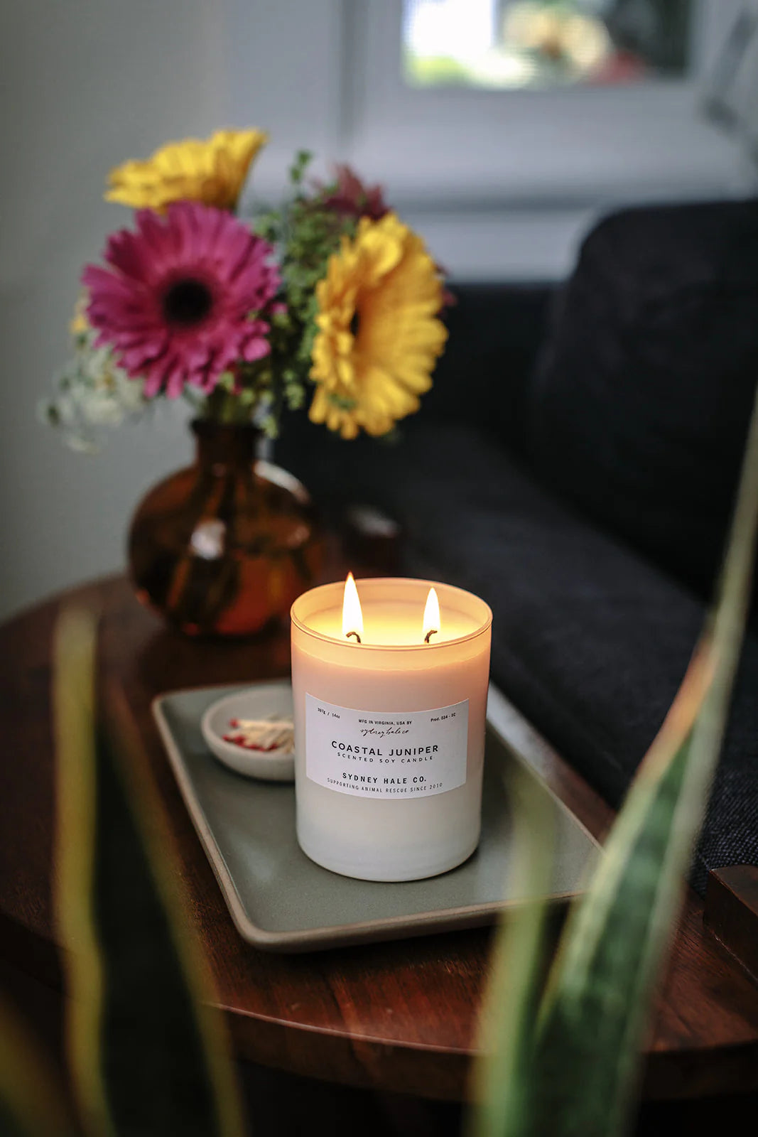 Coastal Juniper Candle