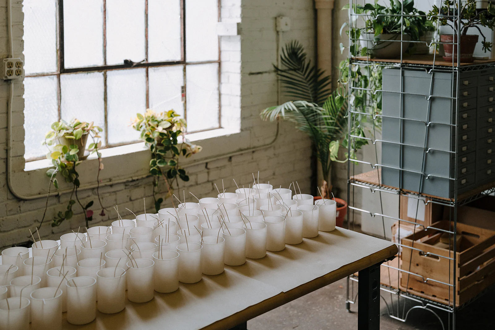 Coconut Milk + Vetiver Candle