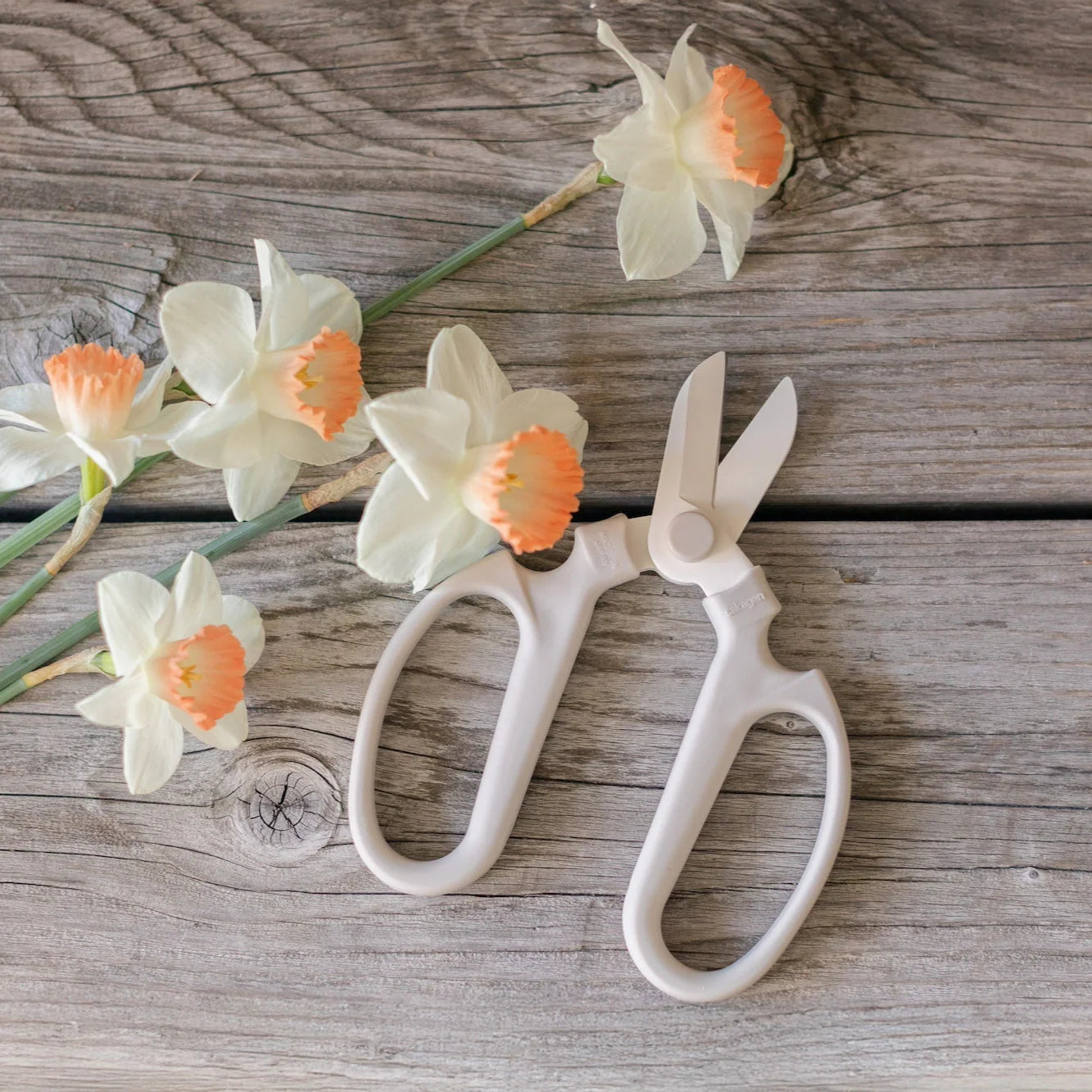 Japanese Floral Clippers